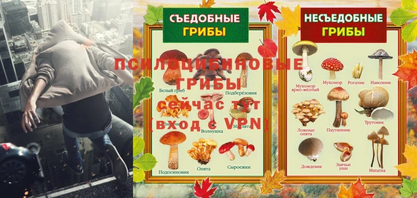 мдпв Лагань