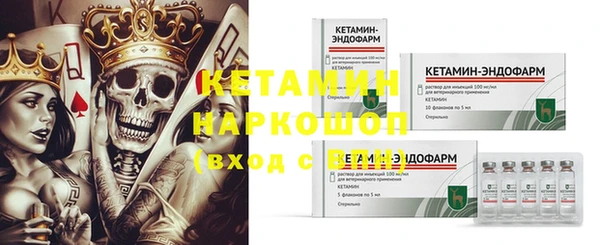 шишки Мегион