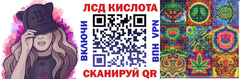 mega как зайти  Снежногорск  Марки NBOMe 1500мкг 