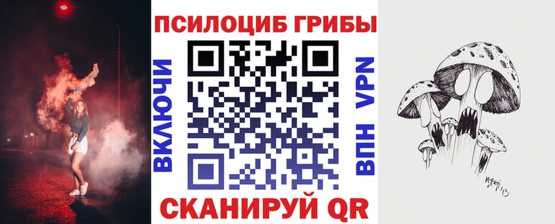 blacksprut как зайти Снежногорск Псилоцибиновые грибы мухоморы